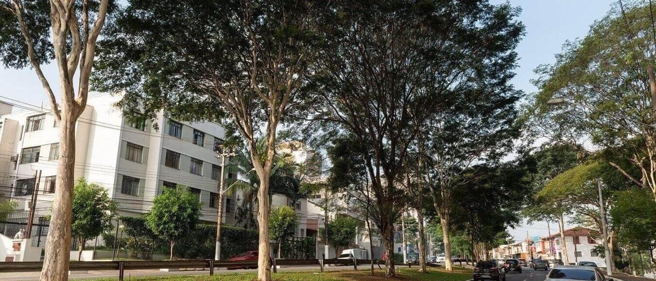 Vista da Chácara Klabin ao entardecer, com prédios residenciais e ruas arborizadas