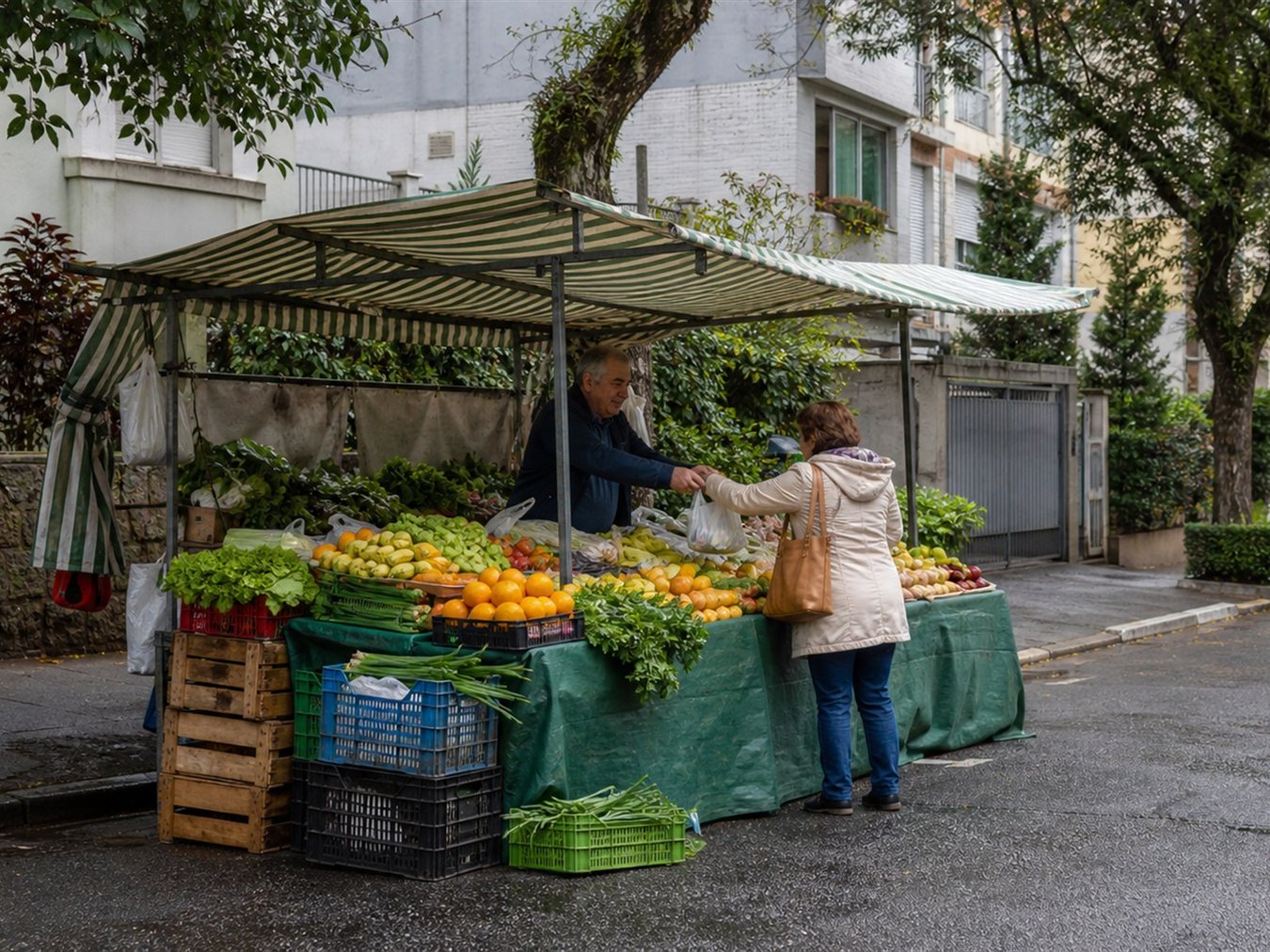 Feira da Rua Coronel Oscar Porto — roteiro Ibirapuera
