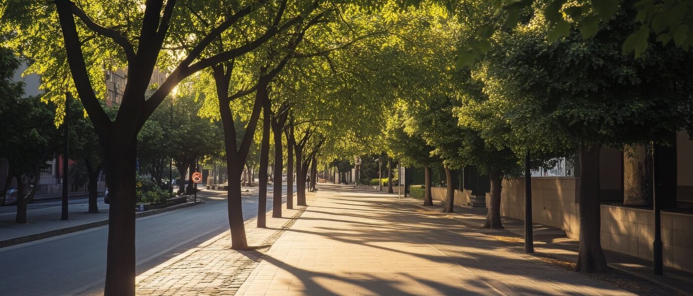Rua residencial arborizada em Moema