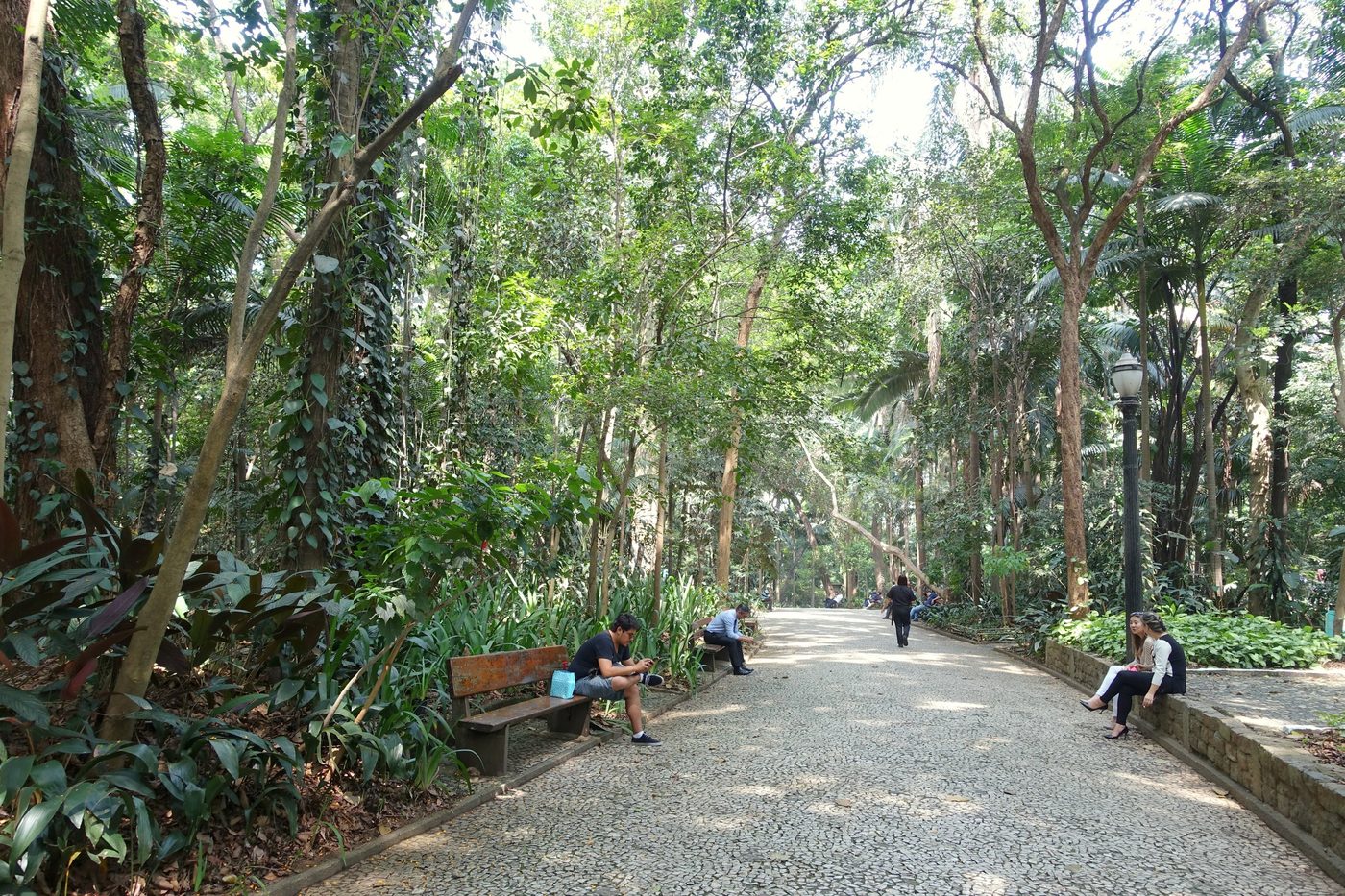 Parque Trianon — Parque e lazer, Avenida Paulista