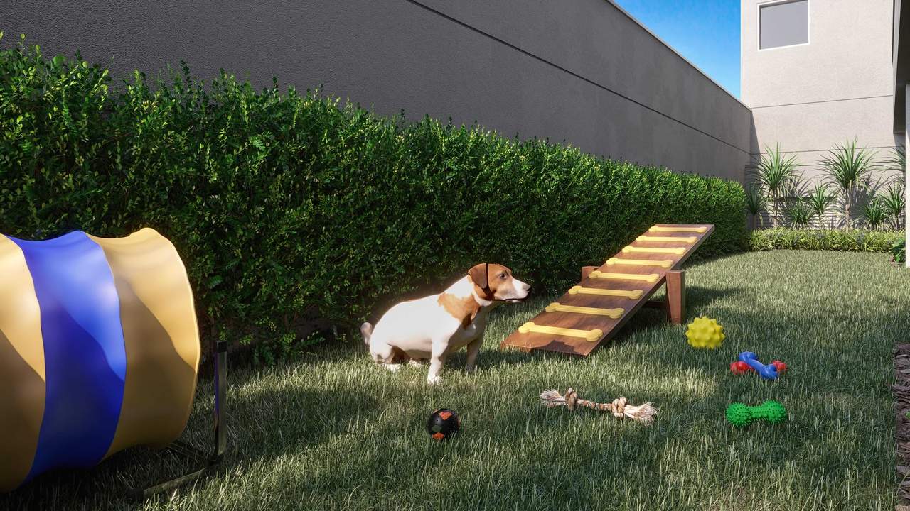 Foto Pet Place