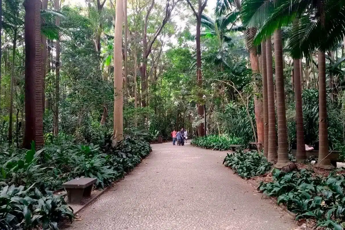 parque-trianon-1